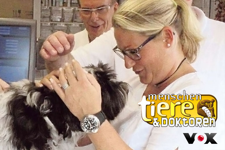 Die Tierklinik Lüneburg Im Fernsehen Tv Tierklinik Lüneburg